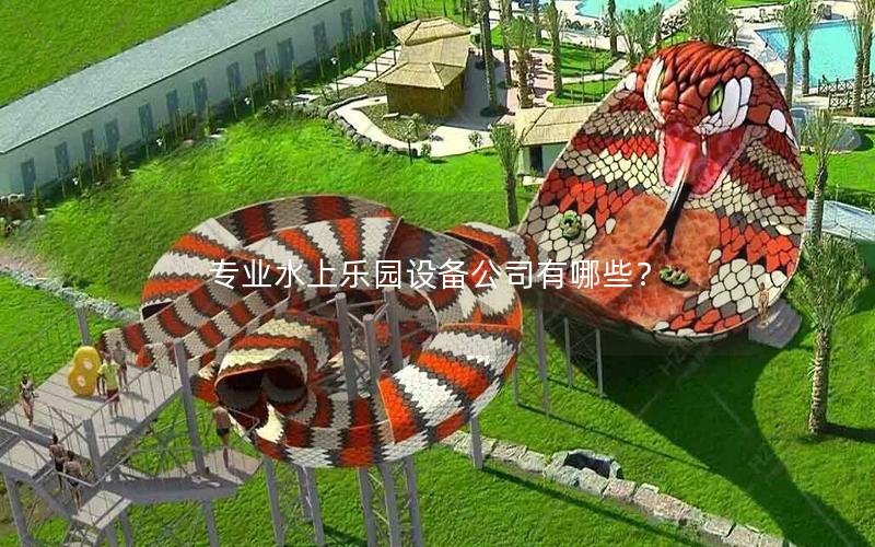 專業水上樂園設備公司有哪些？